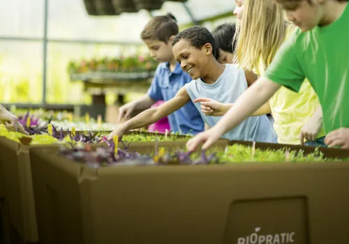 Kids learning about plants at a greenhouse.